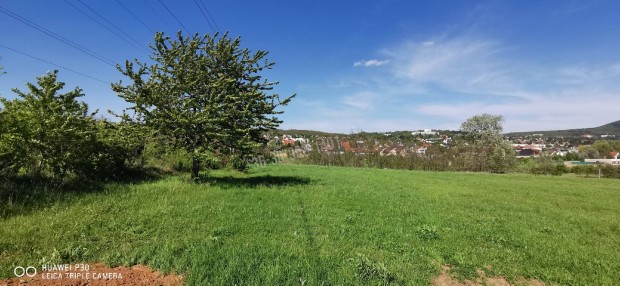 Elad� telek, Budakeszi Dar�nyi, 90000000 Ft, 1 nm 36002_v