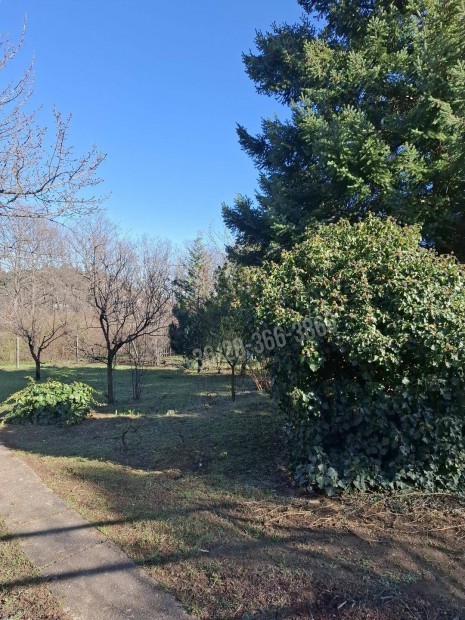 Elad� telek, Buda�rs Als�sz�ll�s, 39000000 Ft, 724 nm 35904_v