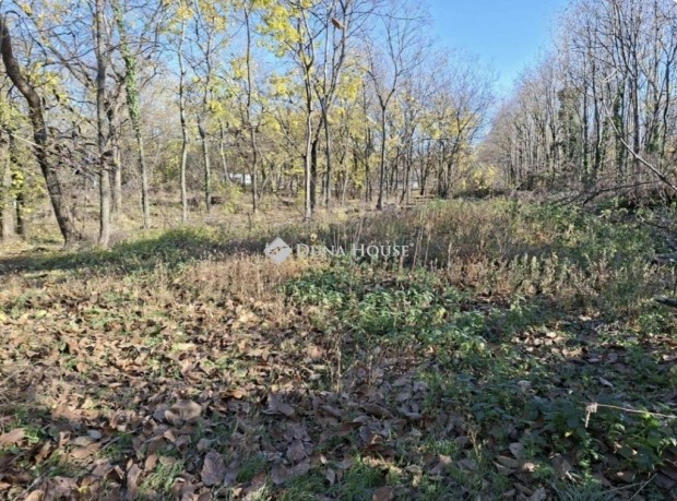 Elad� telek, Budapest 17. ker.