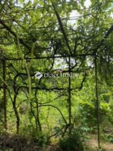 Elad� telek, Budapest 3. ker.