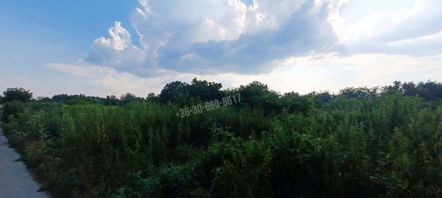 Elad� telek, Budapest, 21. ker�let  H�ros, 10900000 Ft, 1 nm 51_fea