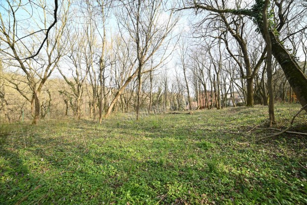 Elad� telek, Budapest, 2. ker�let  Lip�tmez�, 430000000 Ft, 3 1559_czp