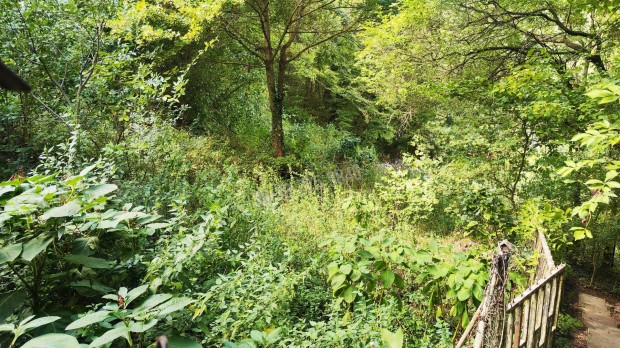 Elad� telek, Budapest, 2. ker�let  M�riaremete - II/A, 259000000 8_jib