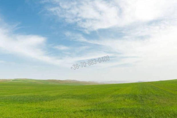 Elad� telek, Dabas Gy�n, Vacsi �t , 19990000 Ft, 1644 nm