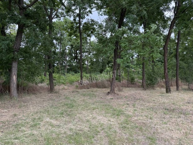 Elad� telek, Dabas Sz�l�hegy, 16990000 Ft, 850 nm