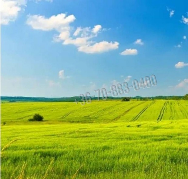 Elad� telek, Dabas, 10500000 Ft, 1709 nm