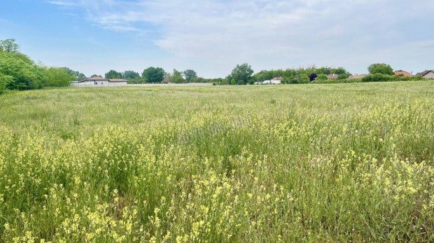 Elad� telek, Dabas, 185000000 Ft, 20196 nm