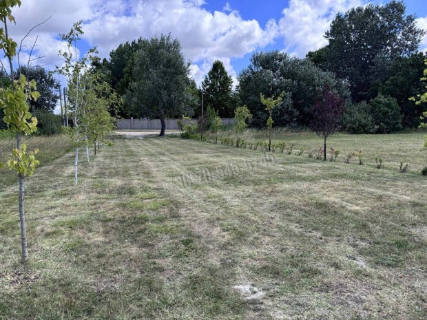 Elad� telek, Dabas, 59990000 Ft, 24820 nm