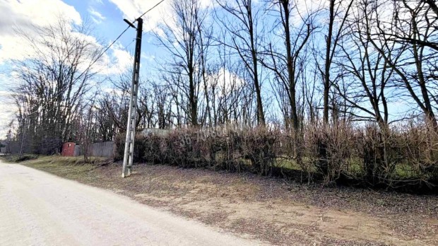 Elad� telek, Dabas, 7990000 Ft, 1219 nm