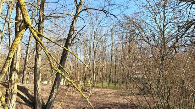 Elad� telek, Dabas, 7990000 Ft, 900 nm