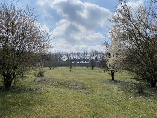 Eladó telek, Debrecen, Erdőspuszta, 23,5 ha, termálvíz lehetőséggel