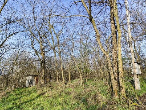 Elad� telek, In�rcs, Fecske utca , 14990000 Ft, 2394 nm