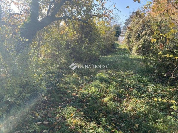 Elad� telek, Isztim�r