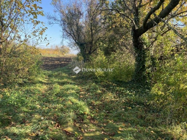 Elad� telek, Isztim�r