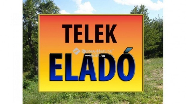 Elad telek, Kecskemt