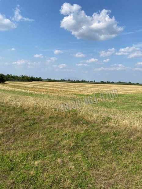 Elad� telek, Mez��rs Mindszentpuszta, 18900000 Ft, 1774 nm