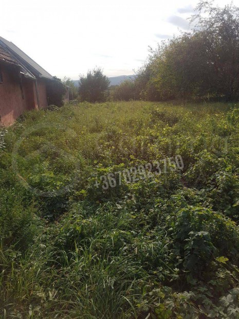 Elad� telek, Miskolc Belv�ros, 4500000 Ft, 1750 nm 742_gaimp