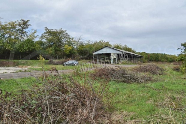 Elad� telek, Miskolc Miskolc, 200000000 Ft, 8965 nm 1676_gaimp