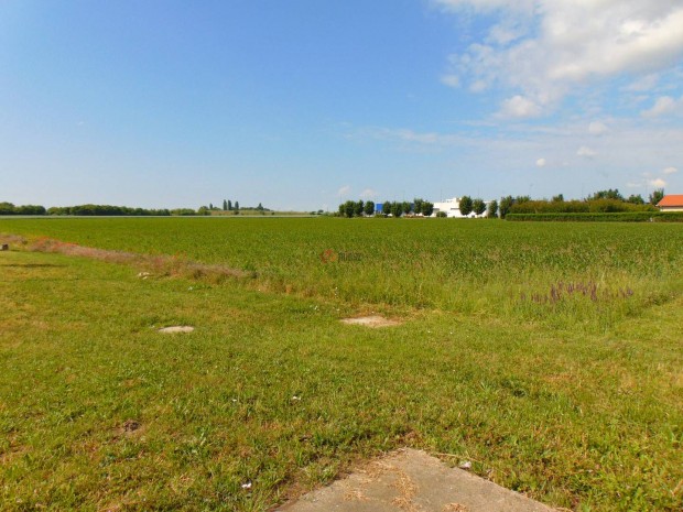 Elad� telek, Moh�cs Moh�cs, 100000000 Ft, 10000 nm 770_sri