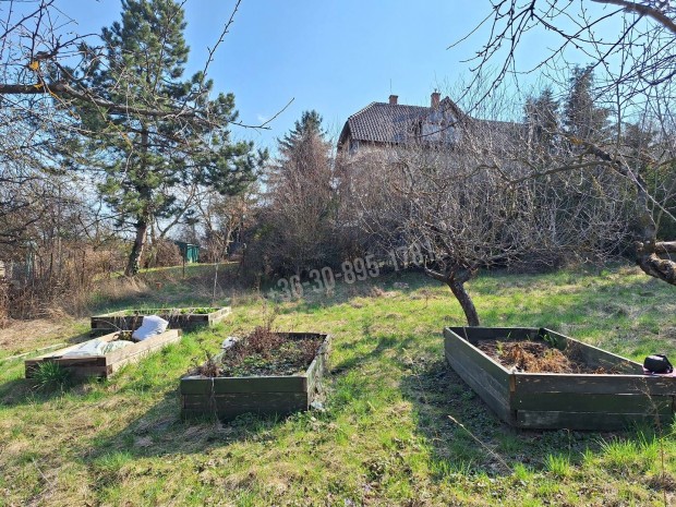 Elad� telek, Nagykov�csi �falu, 80000000 Ft, 700 nm 83_zsz