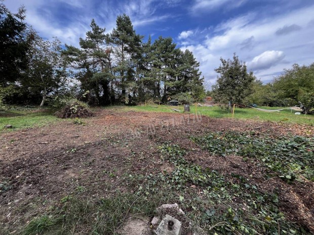 Elad� telek, Oroszl�ny, 19990000 Ft, 1183 nm 181_tl