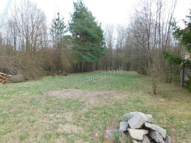 Elad� telek, Par�d Par�d�huta, 14000000 Ft, 800 nm 142_jh