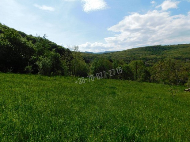 Elad� telek, Par�d Par�d�huta, 14500000 Ft, 639 nm 17_jh