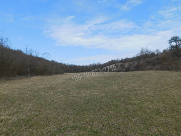 Elad� telek, Sirok, 14900000 Ft, 69000 nm 141_jh