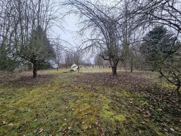 Eladó telek, Tiszaug