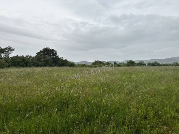 Elad� telek, T�r�kb�lint, 51475000 Ft, 1 nm 36060_v