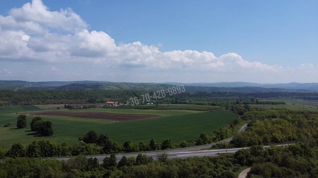 Elad telek, Vc Bcska, 37500000 Ft, 1580 nm 1574_pl