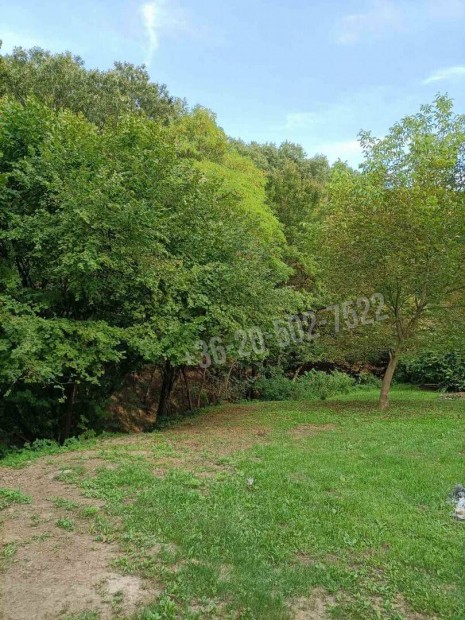 Elad� telek, Zebeg�ny Zebeg�ny, 25000000 Ft, 500 nm 11981_bhi