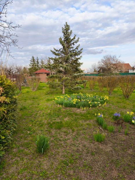 Elad� telek - Besenysz�g (Mih�lyi lapos)