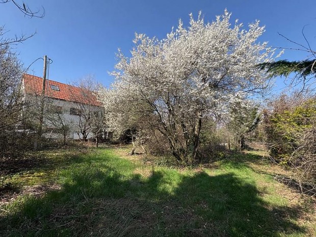 Elad� telek - Budakal�sz