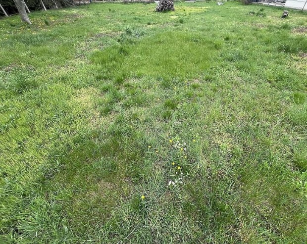 Elad� telek - Budapest XVII. ker�let, R�koscsaba-�jtelep