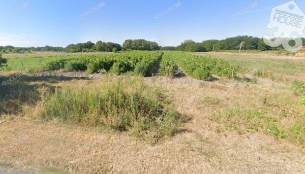 Elad� telek a Lad�nybenei �ton!