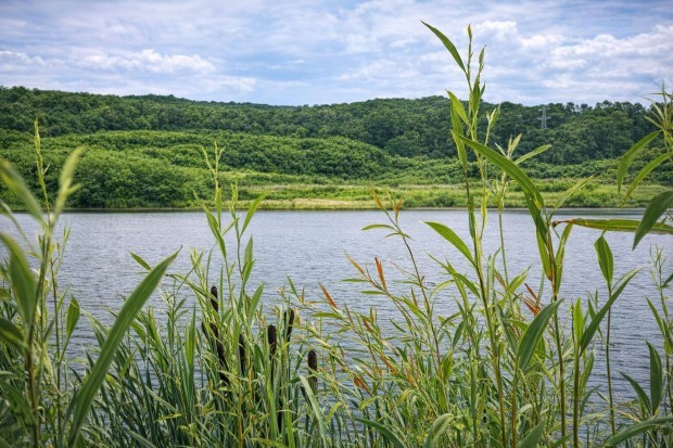 Elad� telek �s horg�szt�, halast� (P�cs) R�cker-akna