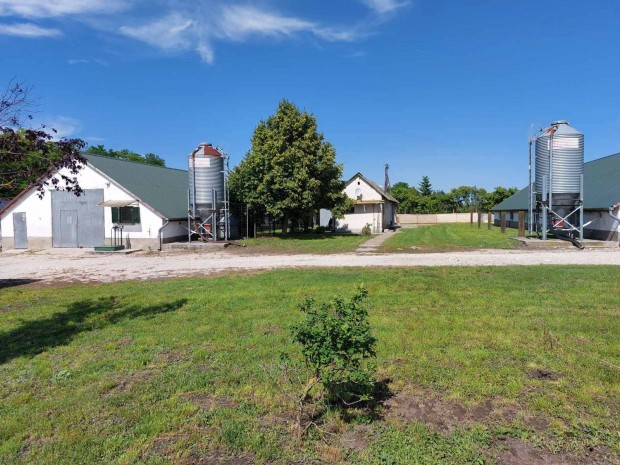 Elad� telephely Fej�r megy�ben, az M7 aut�p�ly�t�l 6 km-re