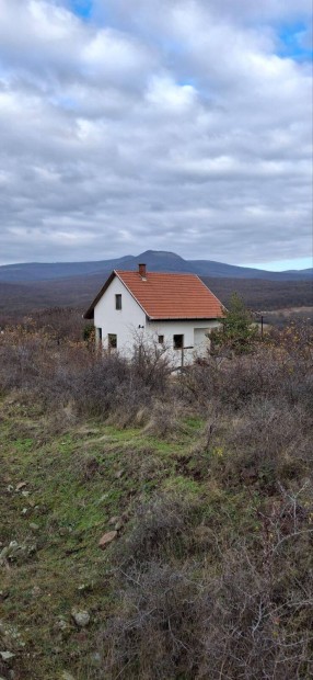 Elad� telephely, legel�, sz�nt�