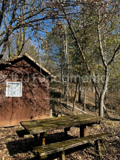 Elad� term�szetk�zeli telek kish�zakkal Visegr�don