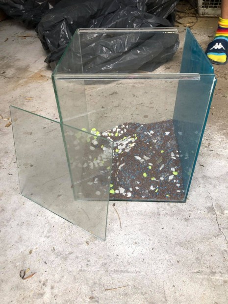 Eladó terrárium
