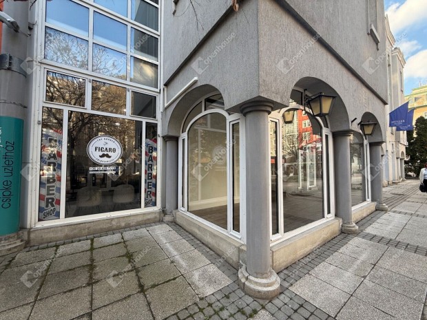 Elad� �zlethelyis�g Zalaegerszeg belv�ros�ban  a Csipke �zleth�zban