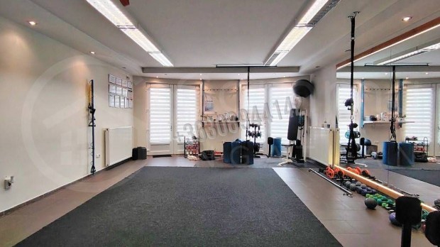 Elad� �zlethelyis�g, Mez�k�vesd Mez�k�vesd, 31900000 Ft, 48 1647_gaimp