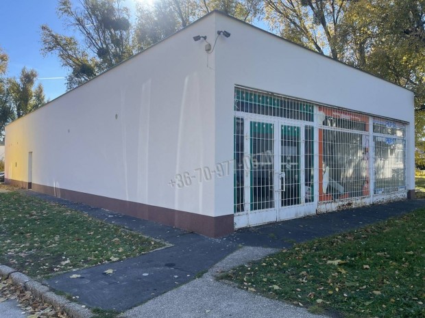 Elad� �zlethelyis�g, Tatab�nya Kertv�ros, 39900000 Ft, 209 nm