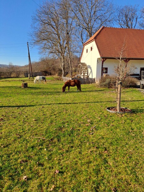 Elad� v�k�nyi csal�di h�z