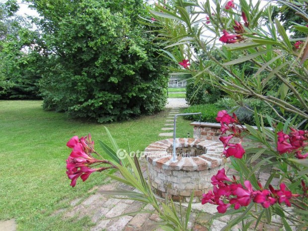 Elad� vend�gh�z, Hajd�n�n�son