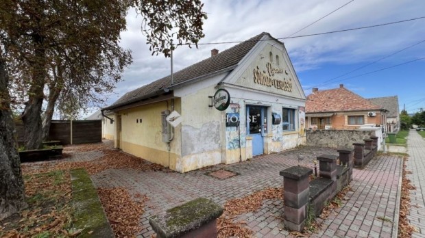 Elad� vend�gl�t�s, T�tv�zsony