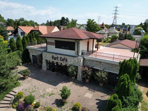 Elad vendglt egysg, Dunakeszi Rvdl, 594000000 Ft, 450  1834_pl
