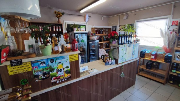 Elad� vend�gl�t�ipari egys�g, lak�h�zzal, gar�zzsal, Szandasz�l�s�n