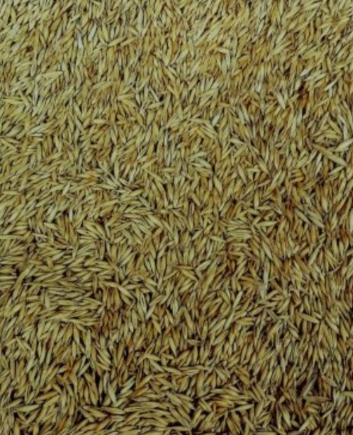 Elad� zab vet�mag